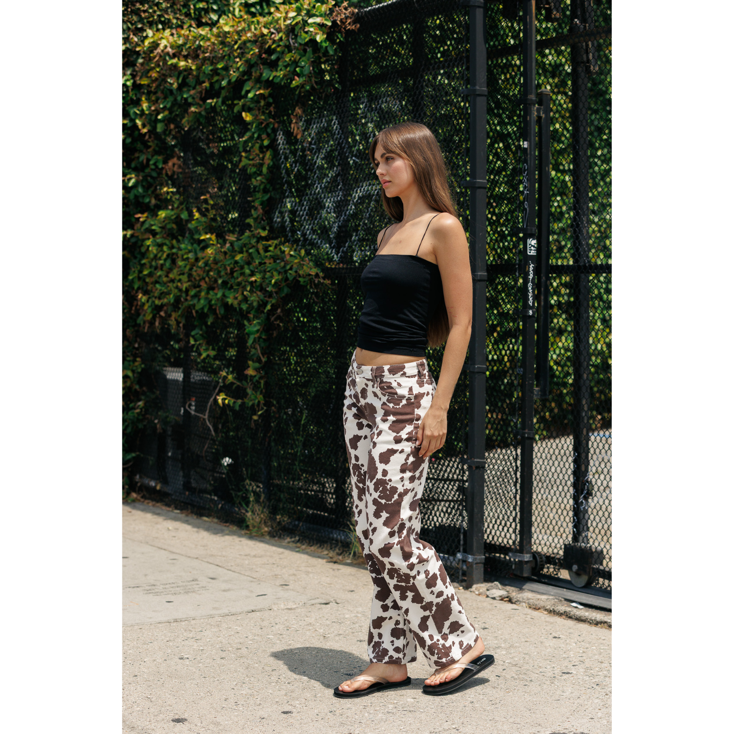Printed Mid Rise Straight Leg Twill Pants - Cow